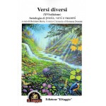 Versi Diversi 11 a cura di Berniero Barra, Cosimo Clemente e Filomena Domini